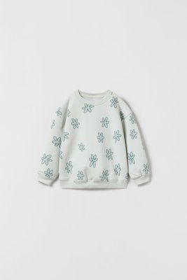 Світшот ZARA 1880/511/526/18 фото